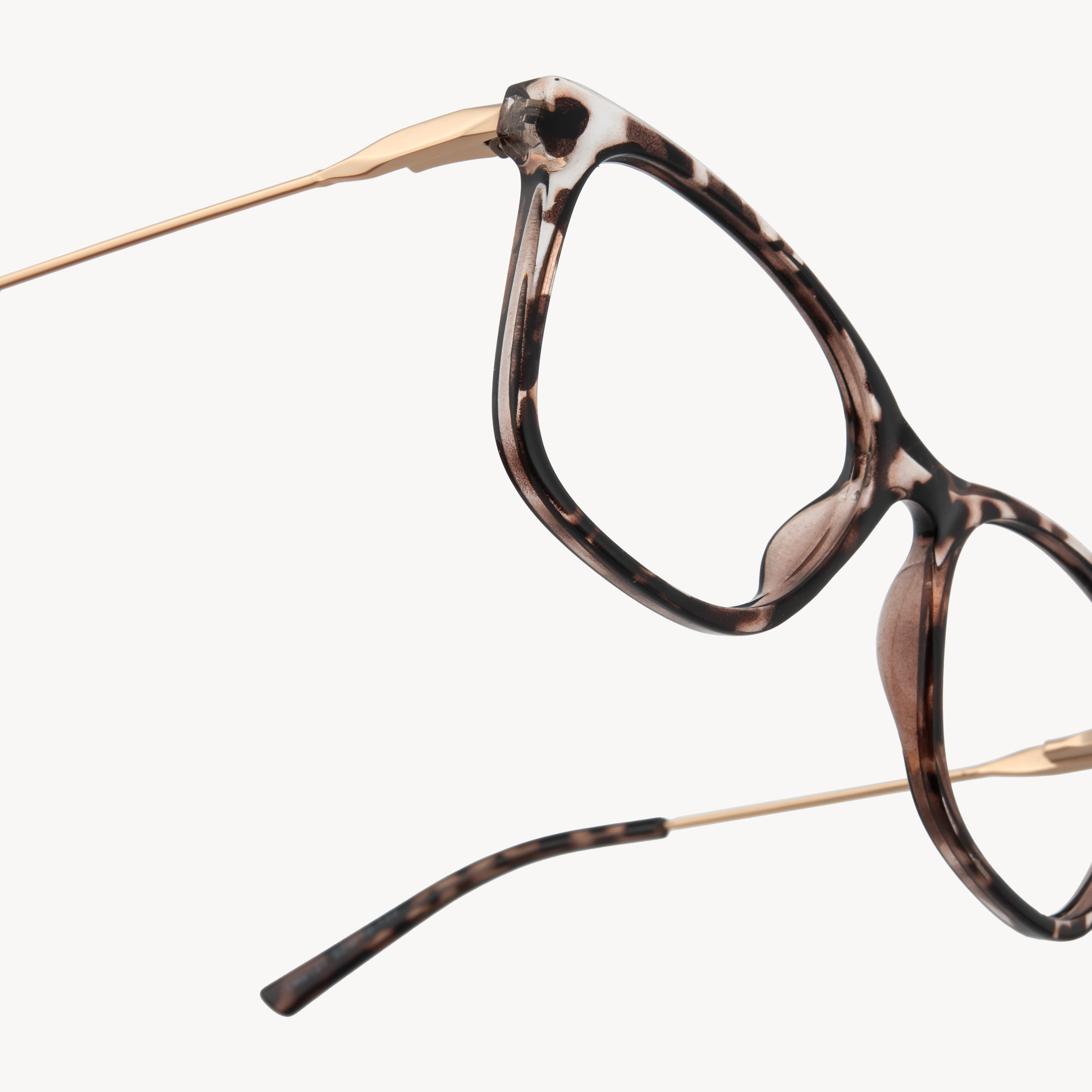 Charlotte   Glasses
