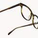 Huxley Glasses